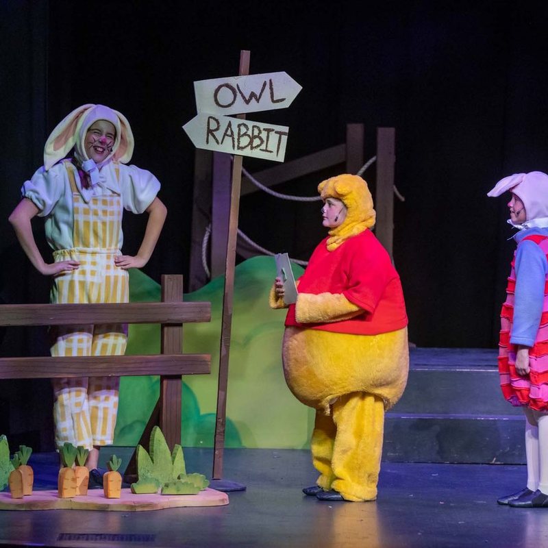 Disney's Winnie the Pooh Kids